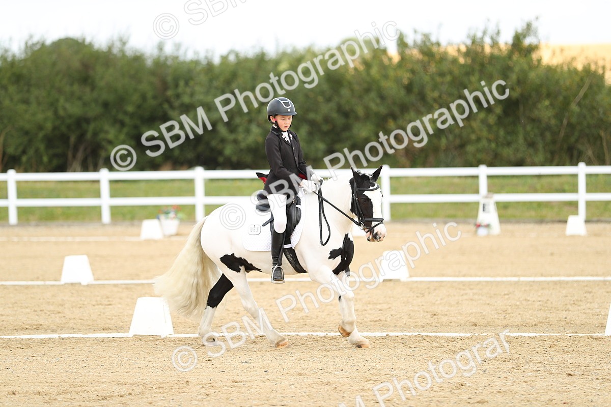 SBM_016347 - Class 13 - Novice 23 - 11.25-12.35