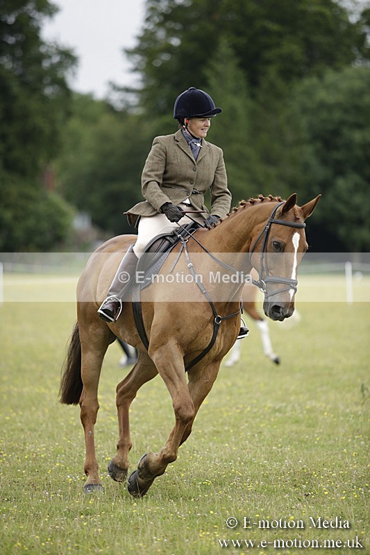 BVR160717-826 - Ring 1 BVRC Show 16/07/17