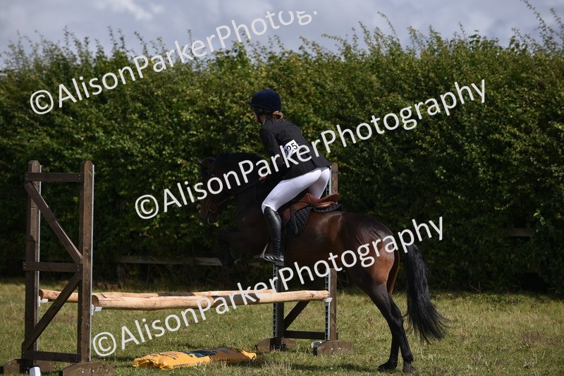20250831-4023 - Class 12 - Working Hunter Pony 14.2hh and Under