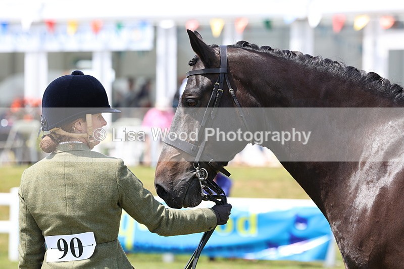 3E7A1652 - Class 9: Open Hunter