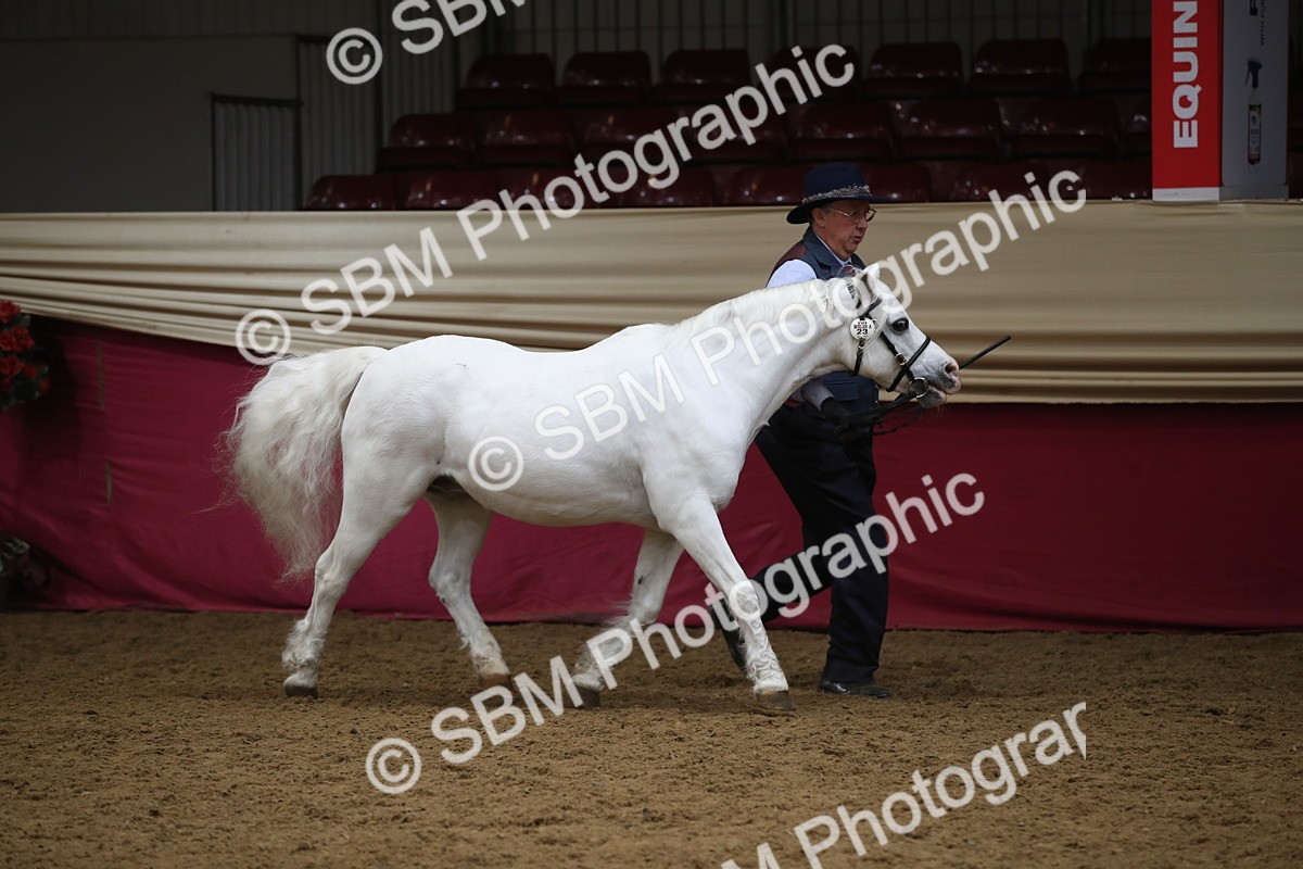 SBM_05261 - Class 8R - Regional IH Veteran
