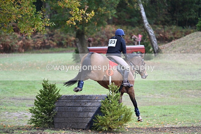 WJ7_5371 - Time 13:00 to 13:18