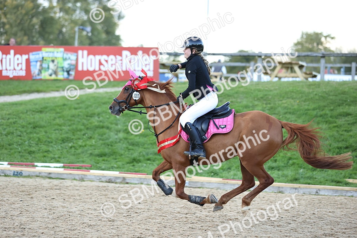 SBM_54443 - Supreme Championship 70cm 75cm
