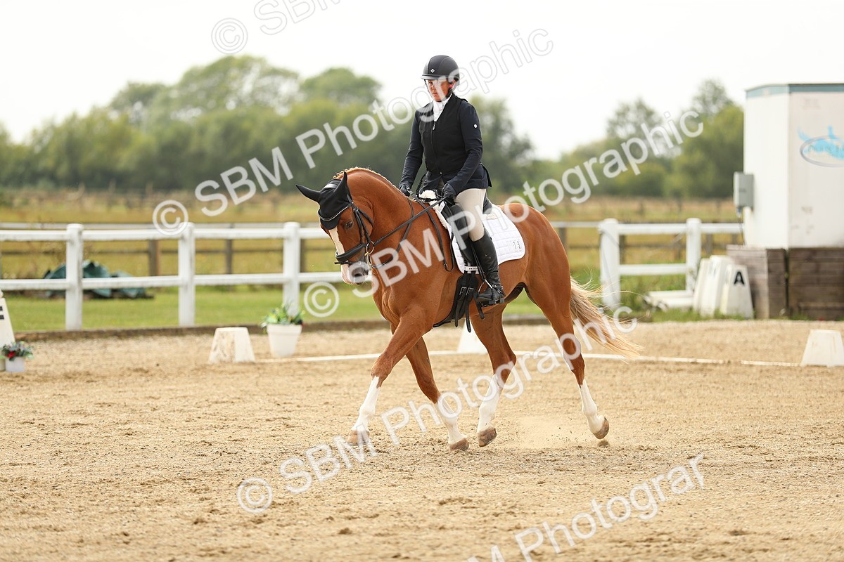 SBM_017708 - Class 13 - Novice 23 - 14.27-15.16