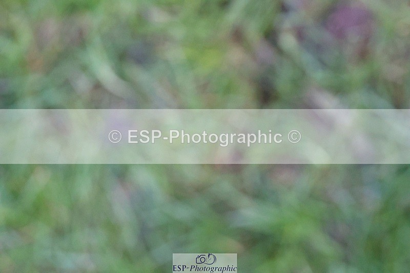 231022-163704-30537 - BE90 Presentations