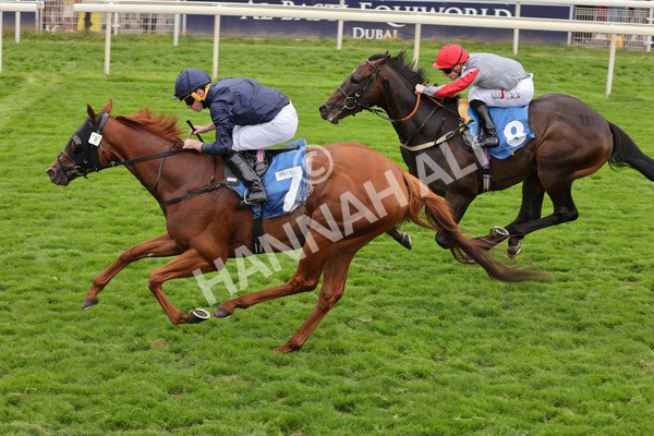 yr20082021r7-32 - Race 7 5.10pm Sky Bet Mile