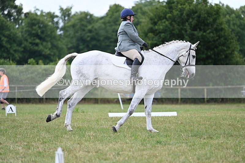 WJ7_5108 - Time 11:22 to 11:51