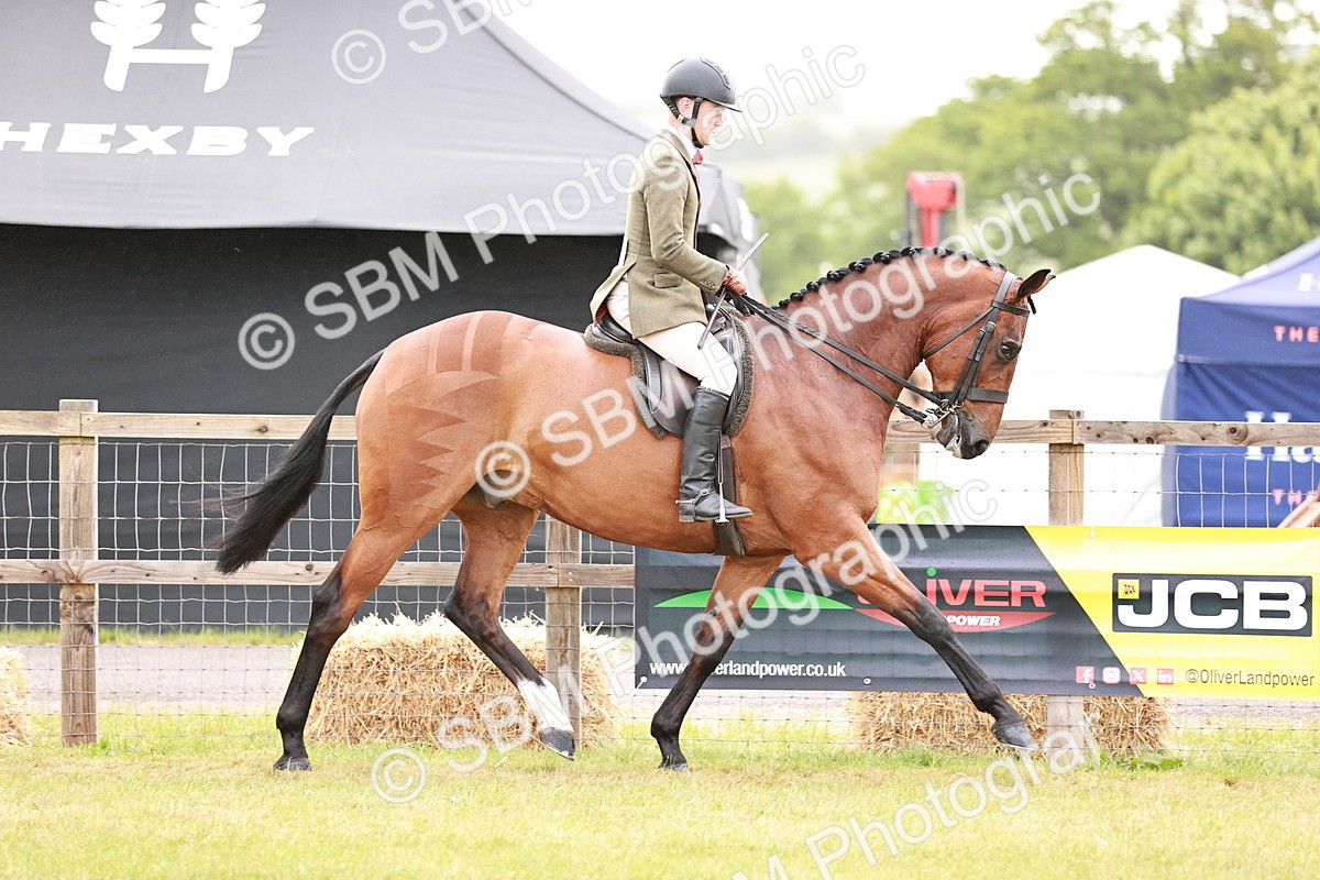 SBM_10754 - Class 81-84 - RIHS Ridden hunters Inc Ladies Hunter