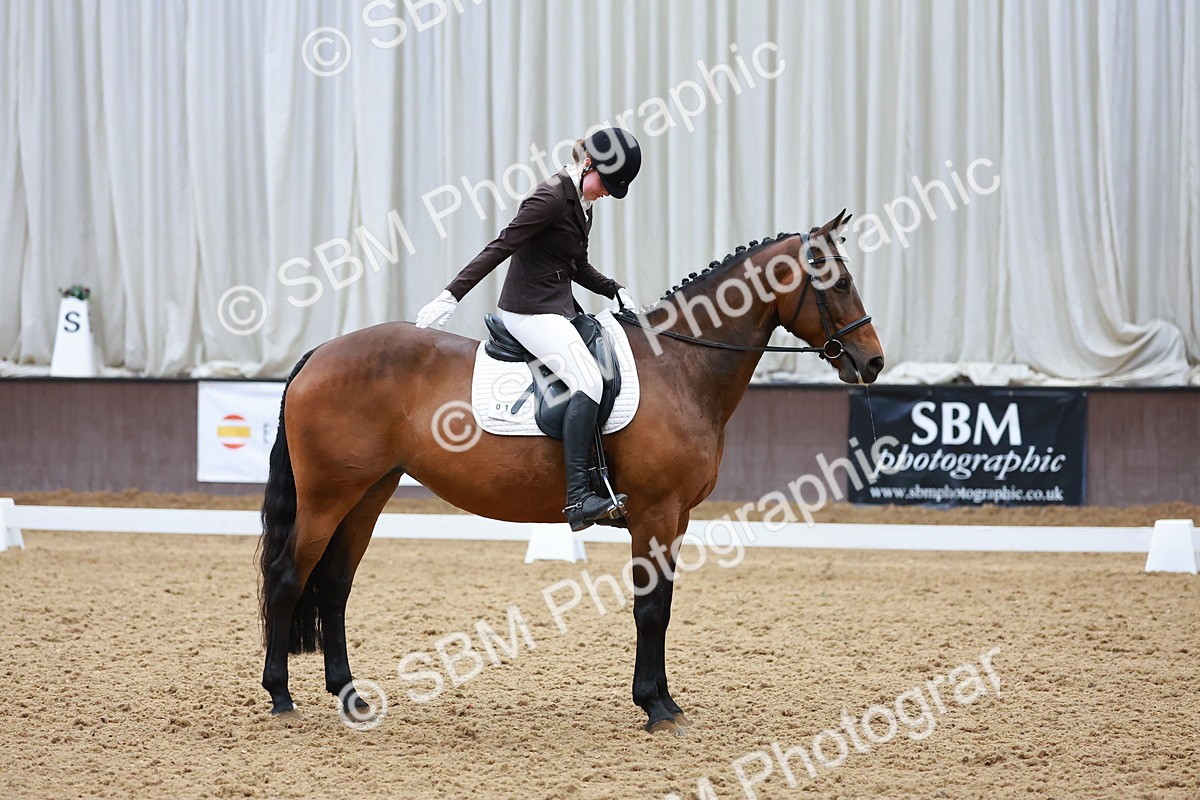 SBM_007594 - Class 4-5-6 - Prel 3-Novice 2-Ele 2