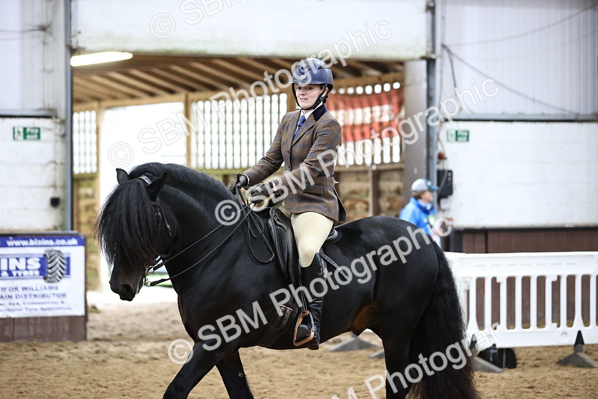 SBM_6542 - Class 43 - Ridden Native Breeds