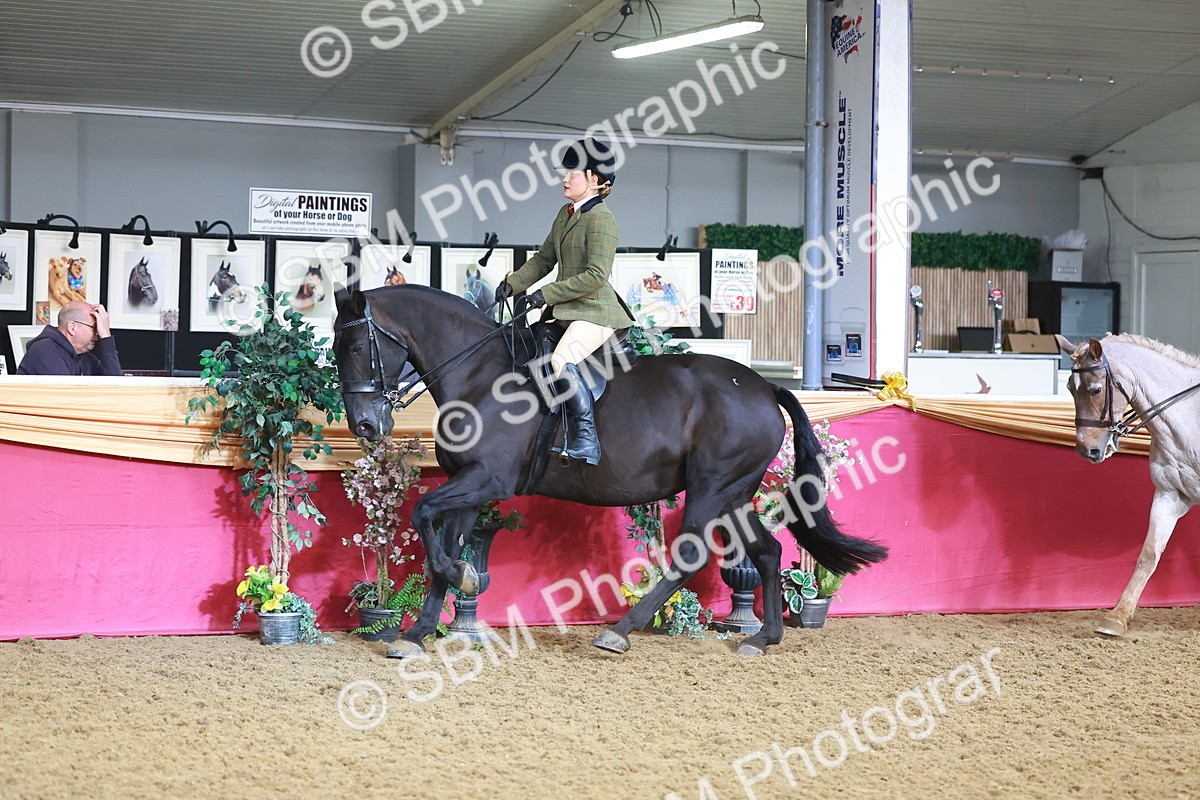 SBM_07648 - Class 101 - HOYS Veteran Qualifier - Ridden Diamond