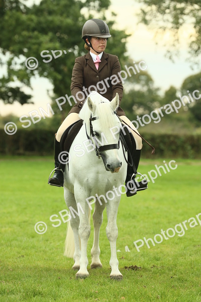 SBM_72196 - S60 - Mountain & Moorland Ridden Large Breeds