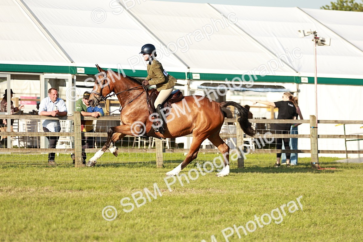 SBM_20501 - Class 117-119 - Sport Horse Working Hunter