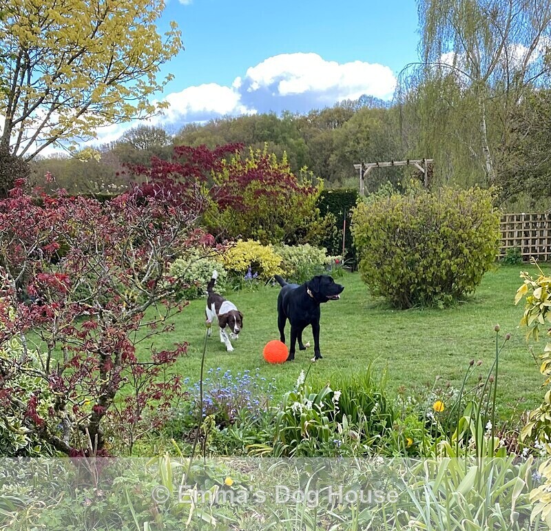  - House and Grounds