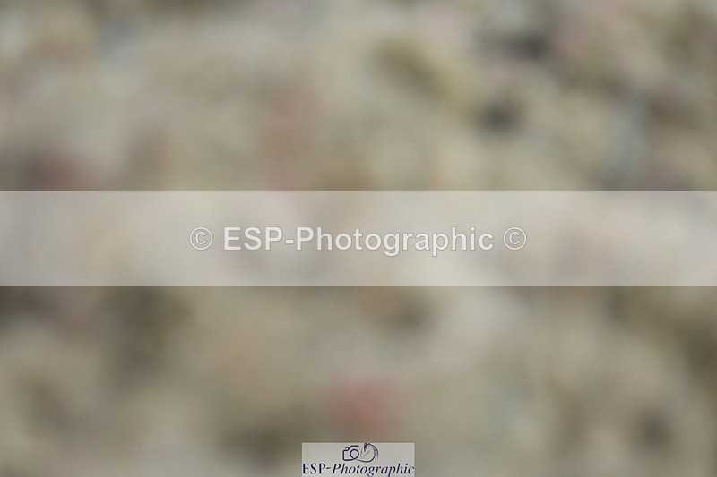 230630A-140748-02881 - Cls 10+11 Medium 69+73