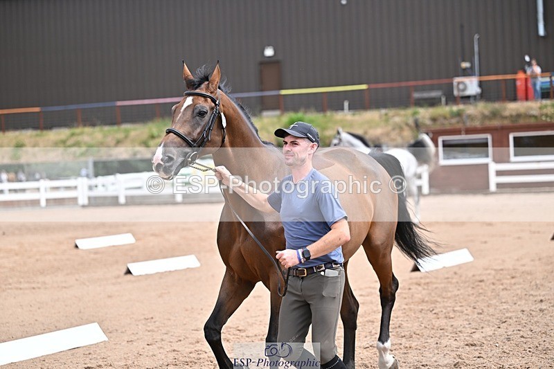 250716-132329-00477 - Trot Up 12.30 to 1.30