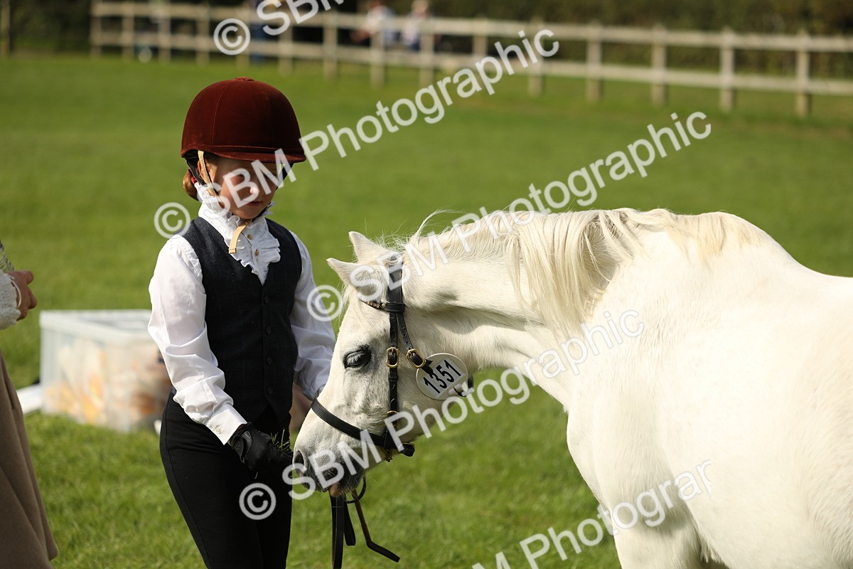 SBM_68670 - S40 - Junior Handler 9-12 Years