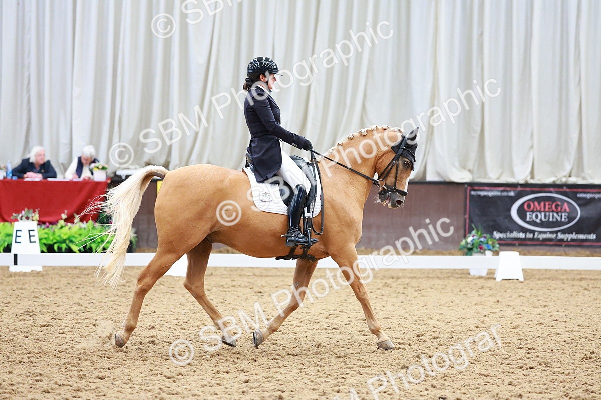 SBM_021271 - Class 25 - FEI PSG Bronze