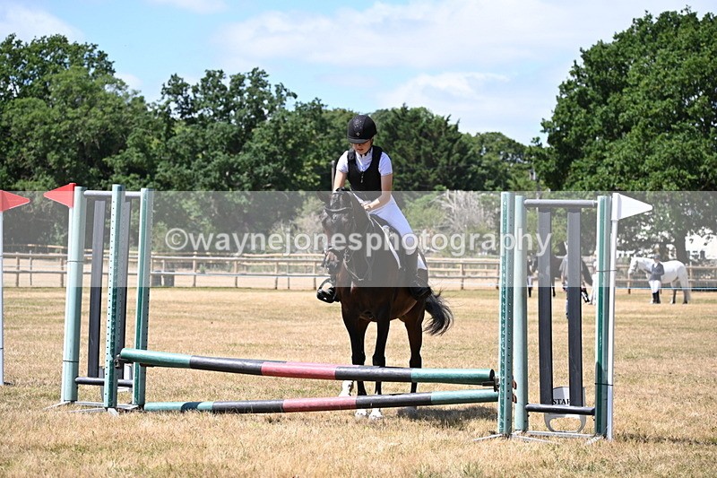 WJ6_5818 - Class 13 Novice 60cm