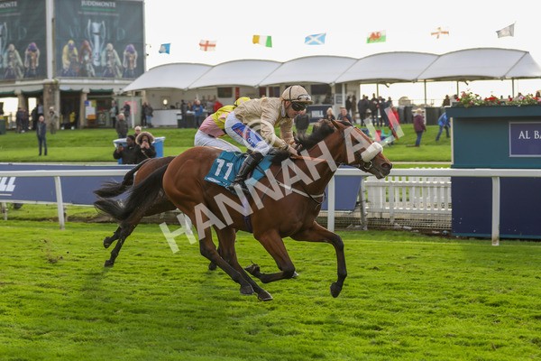 131023-Race 5-Irish Nectar-9874 - Race 5 4.25pm Parsonage Hotel And Cloisters Spa Nursery Handicap