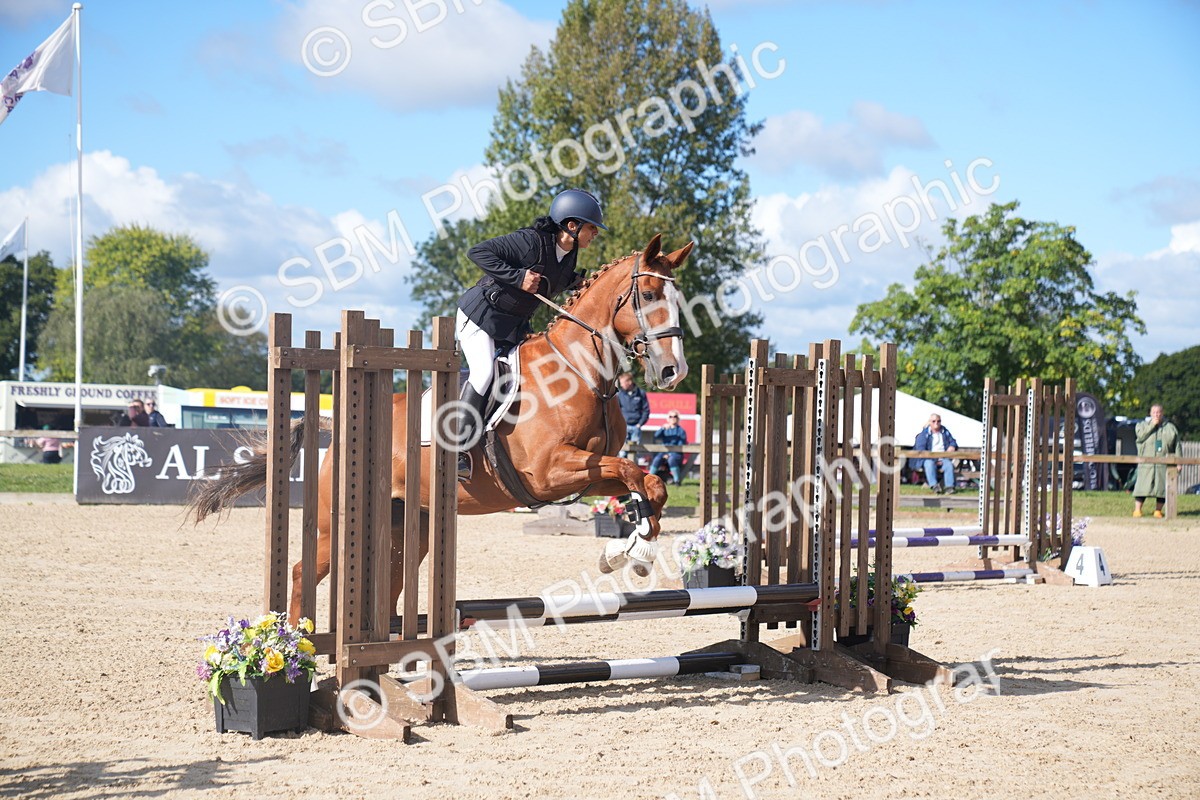 SBM_02433 - J54 Clear Round 45cm