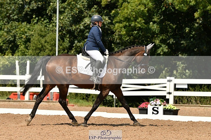 250817-133736-10006 - 033-Frankie.TorodeFirst.Impression.VI