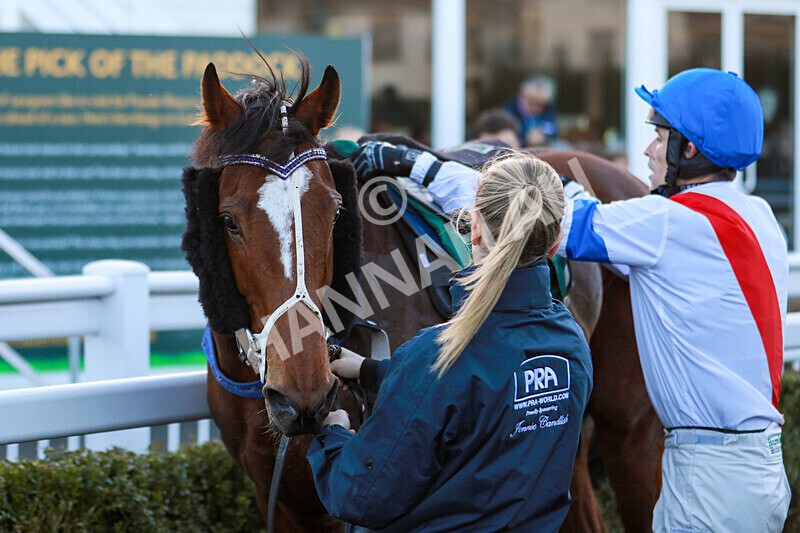 010125-Race 1-Its All About You-2250 - Race 1