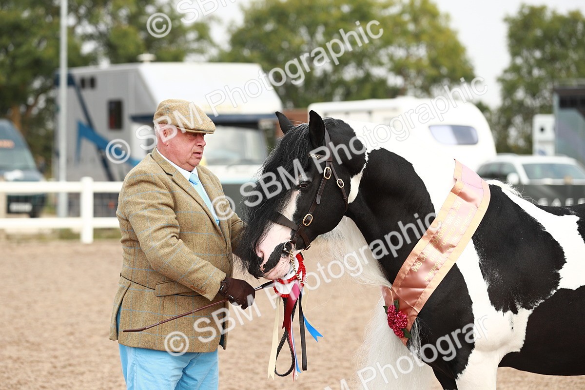 SBM_09589 - Class 201 Best Turned Out IH