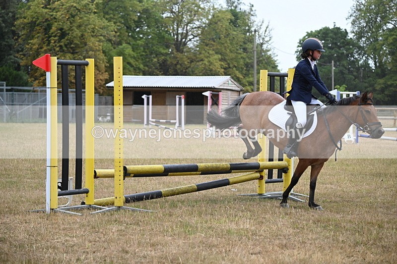 WJ6_0010 - Class 13 Novice Jumping 60cm