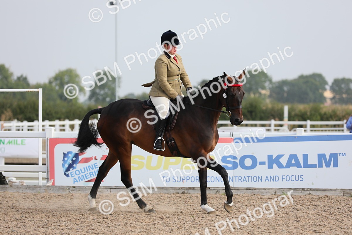 SBM_10708 - Class 303 Ridden Pure Bred Horse/Pony (excl M&M)