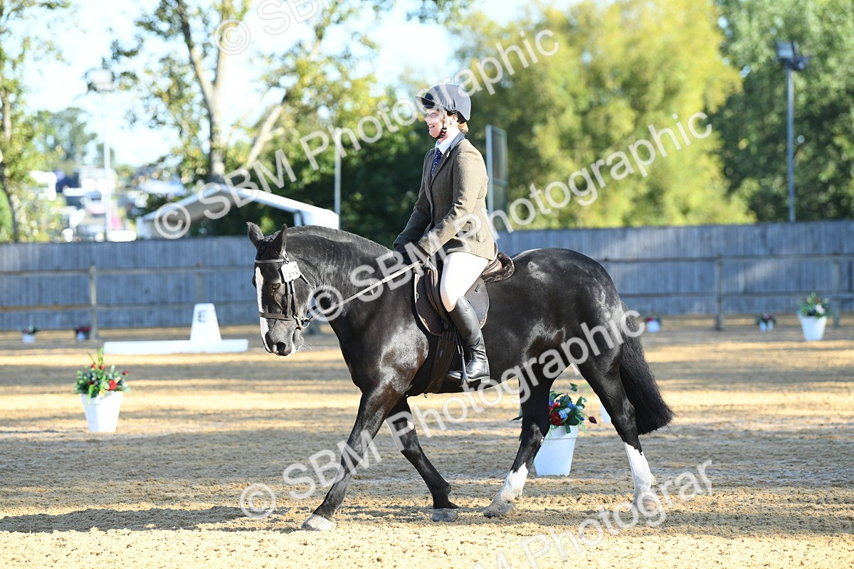 SBM_16087 - D4 - Small Tour Championship - Intro B