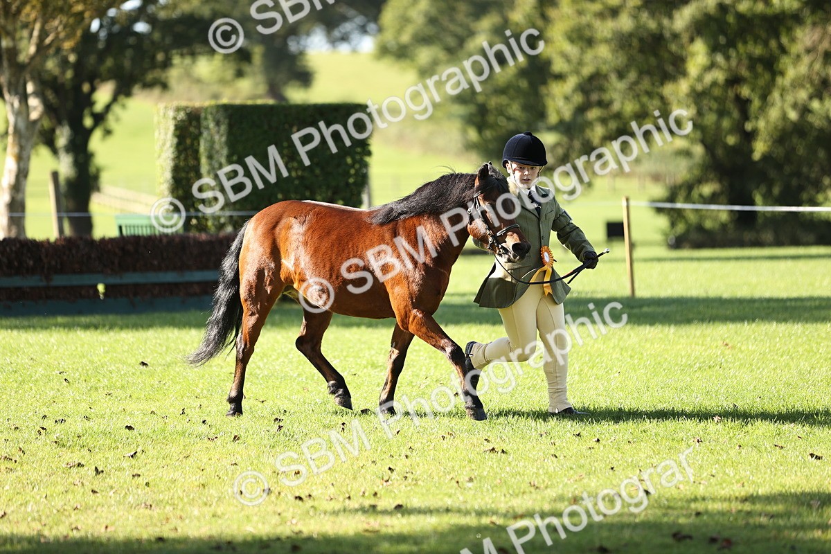 SBM_15942 - S1 - TSR in Hand Horse & Pony Showing