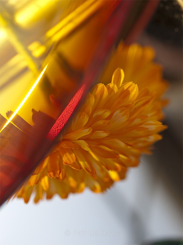  - The Glow of Summer
