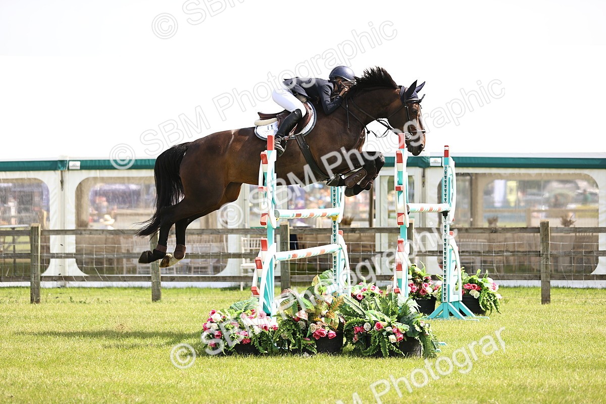 SBM_03138 - Class 201 - British Horse Feedds Speedi Beet HOYS Grade C