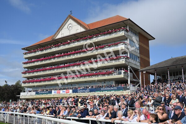 yr18082021r4-66 - Race 4 3.35pm Juddmonte International Stakes (British Champion Series race)