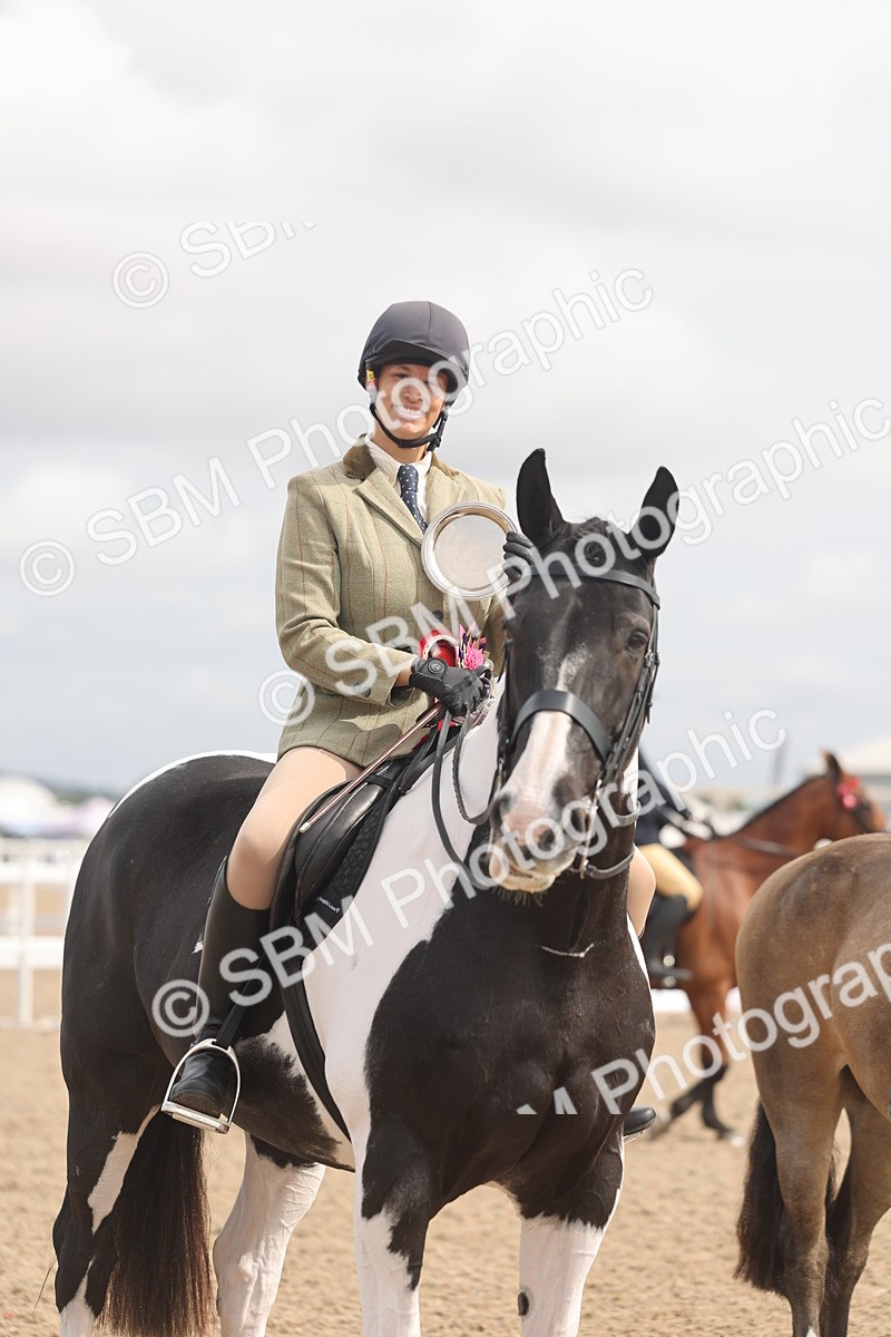 SBM_04571 - Class 19 - Horse/Pony Judge would most like to take home