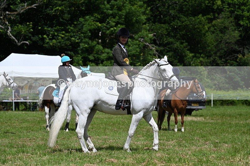 WJ7_1819 - Class 9 Pony Club Pony
