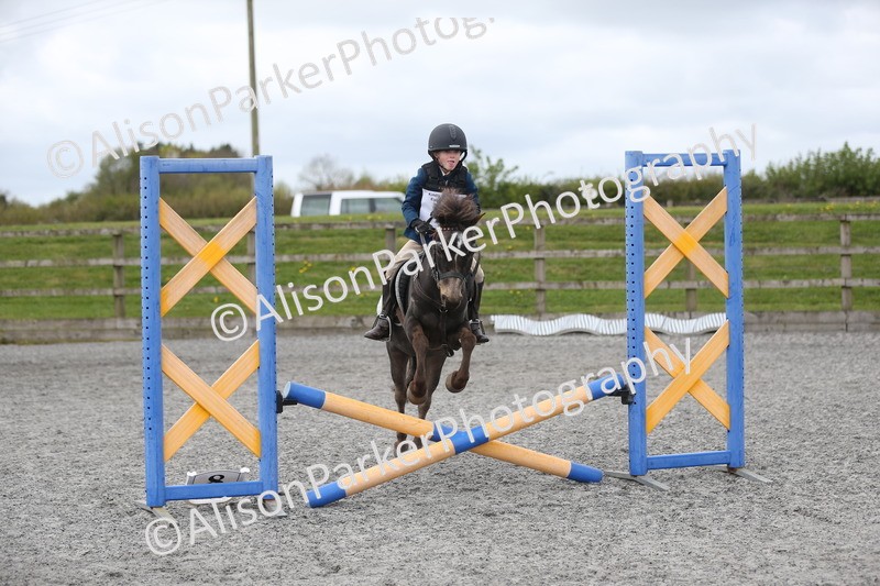 20260412-0580 - Show Jumping