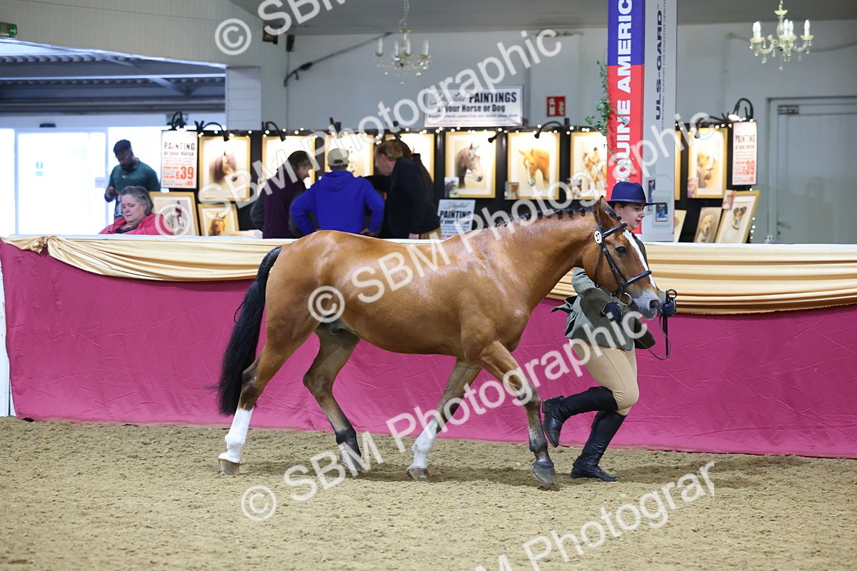 SBM_19612 - Class 901 - Supreme Final - IH Diamond