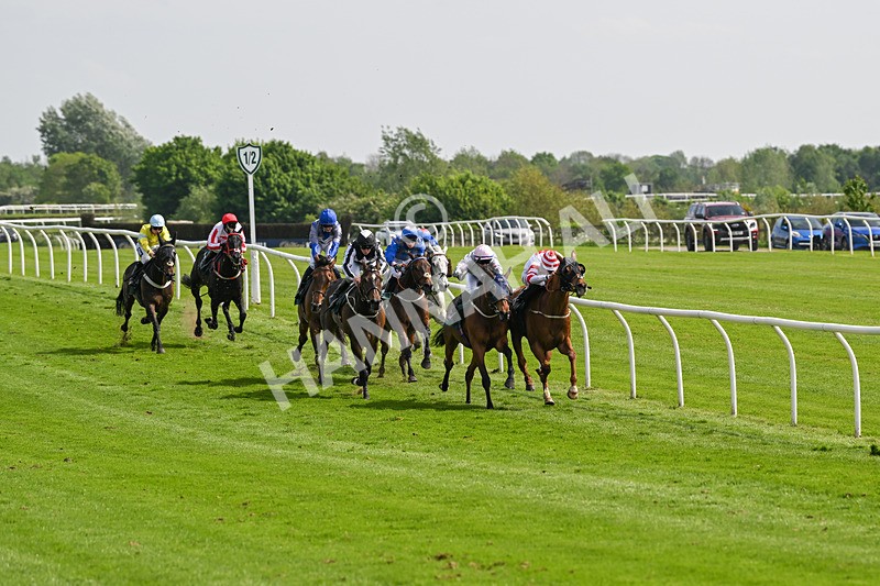 130524-Race 3-Animato-0224 - Race 3