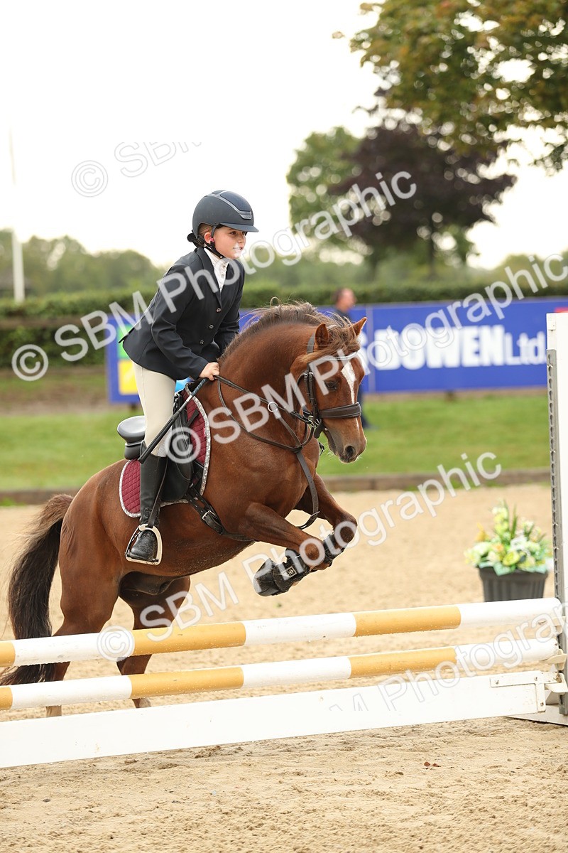 SBM_34228 - J60 Clear Round 50cm