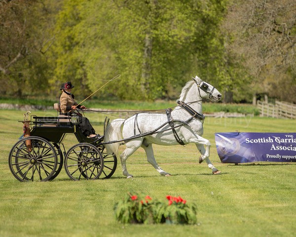 Attelage -879 - CIAT Glamis 2026