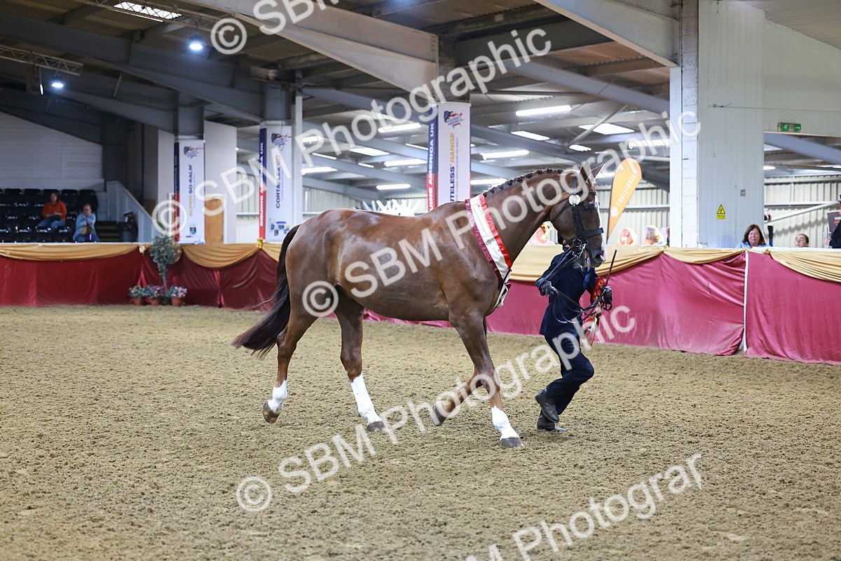 SBM_15017 - Class H - IH  Competition Riding Club Champ