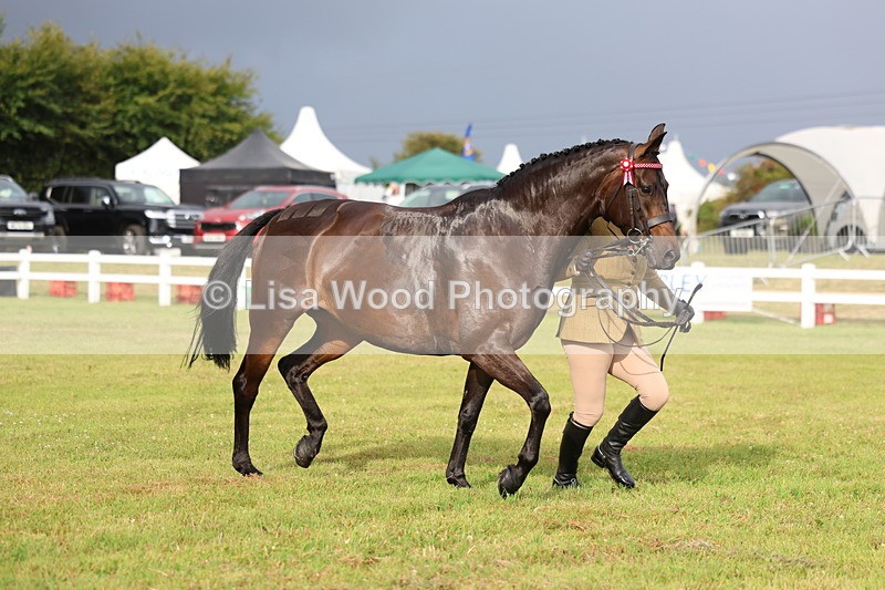 3E7A7914 - Class 1: Rising Star Small Hack/Riding Horses