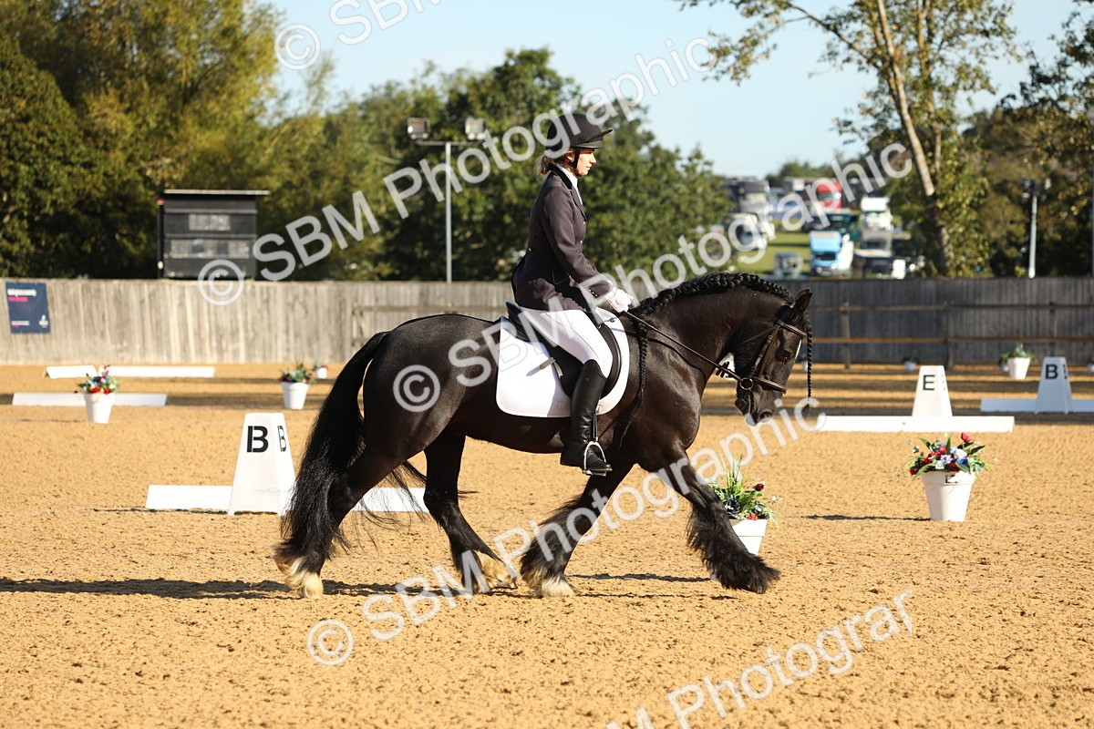 SBM_16427 - D10 - Small Tour Championship - Prelim 2