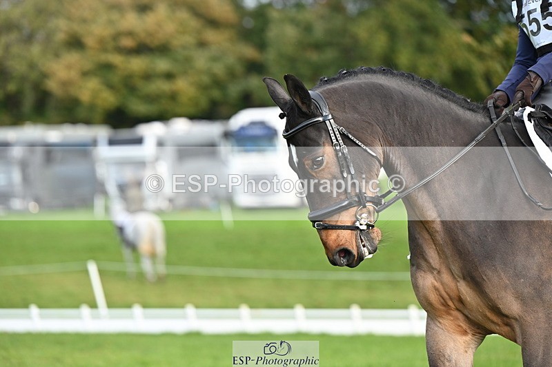 251024A-102026-08294 - G-555-Molly.Swain