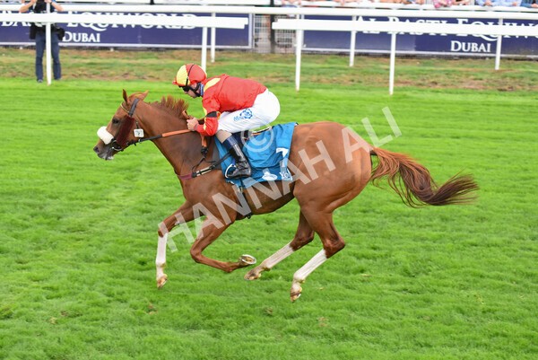 yr04092022r3-36 - Race 3 2.55pm The Elevator Company Garrowby Stakes