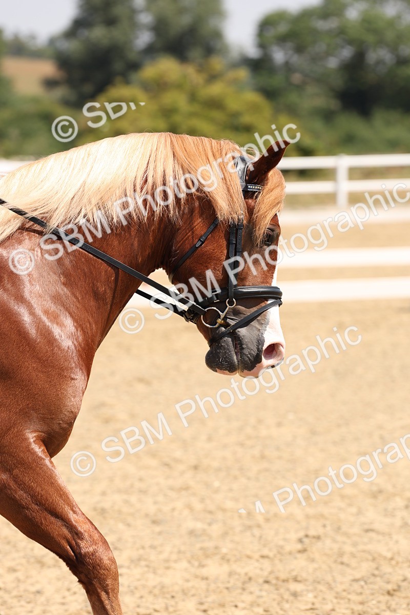 SBM_004305 - Prelim 4 - 11.30-12.47