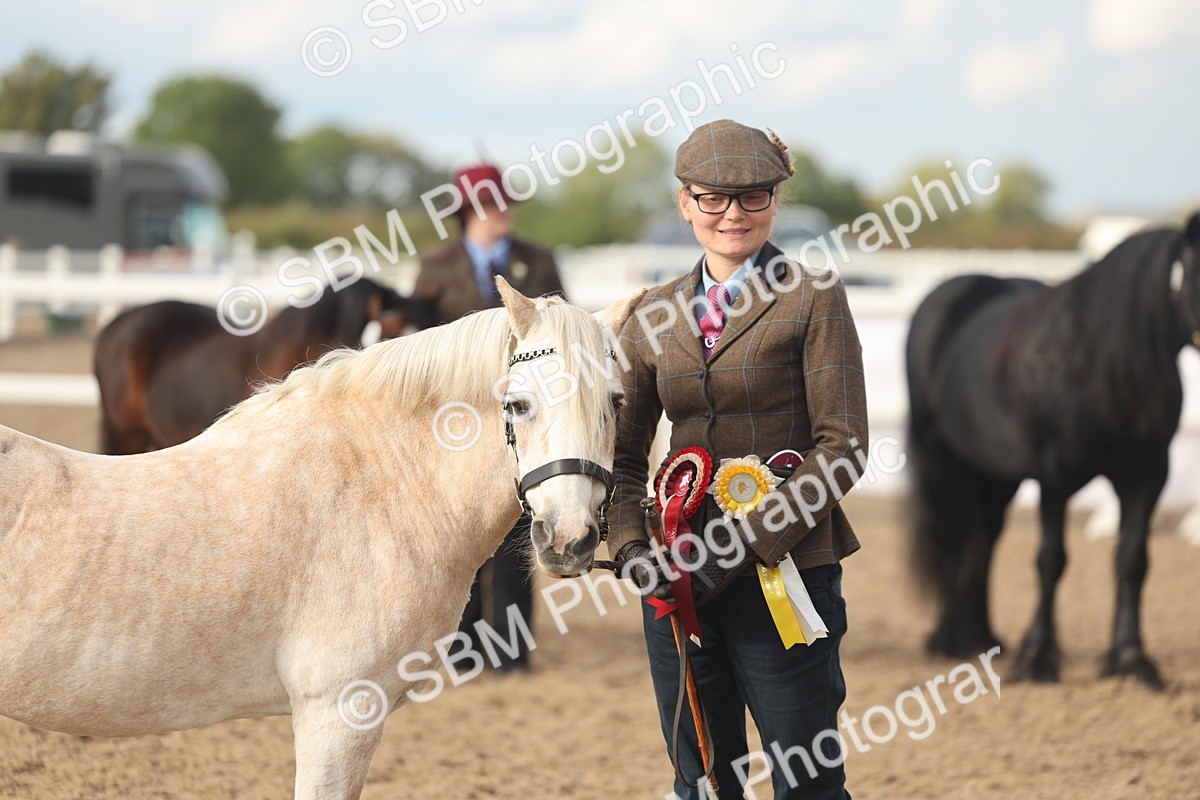 SBM_08585 - Class 29 - IH Veteran Pony
