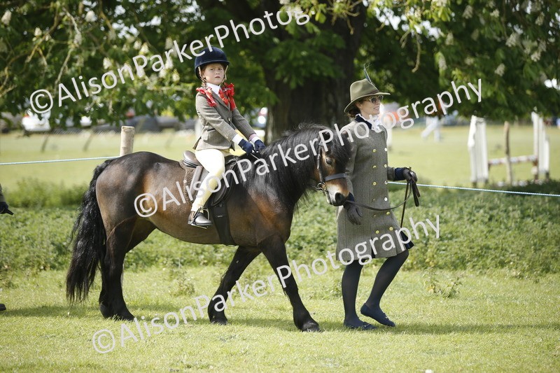 20260426-1856 - Class 7 - Pony Judge Would Most Like To Take Home